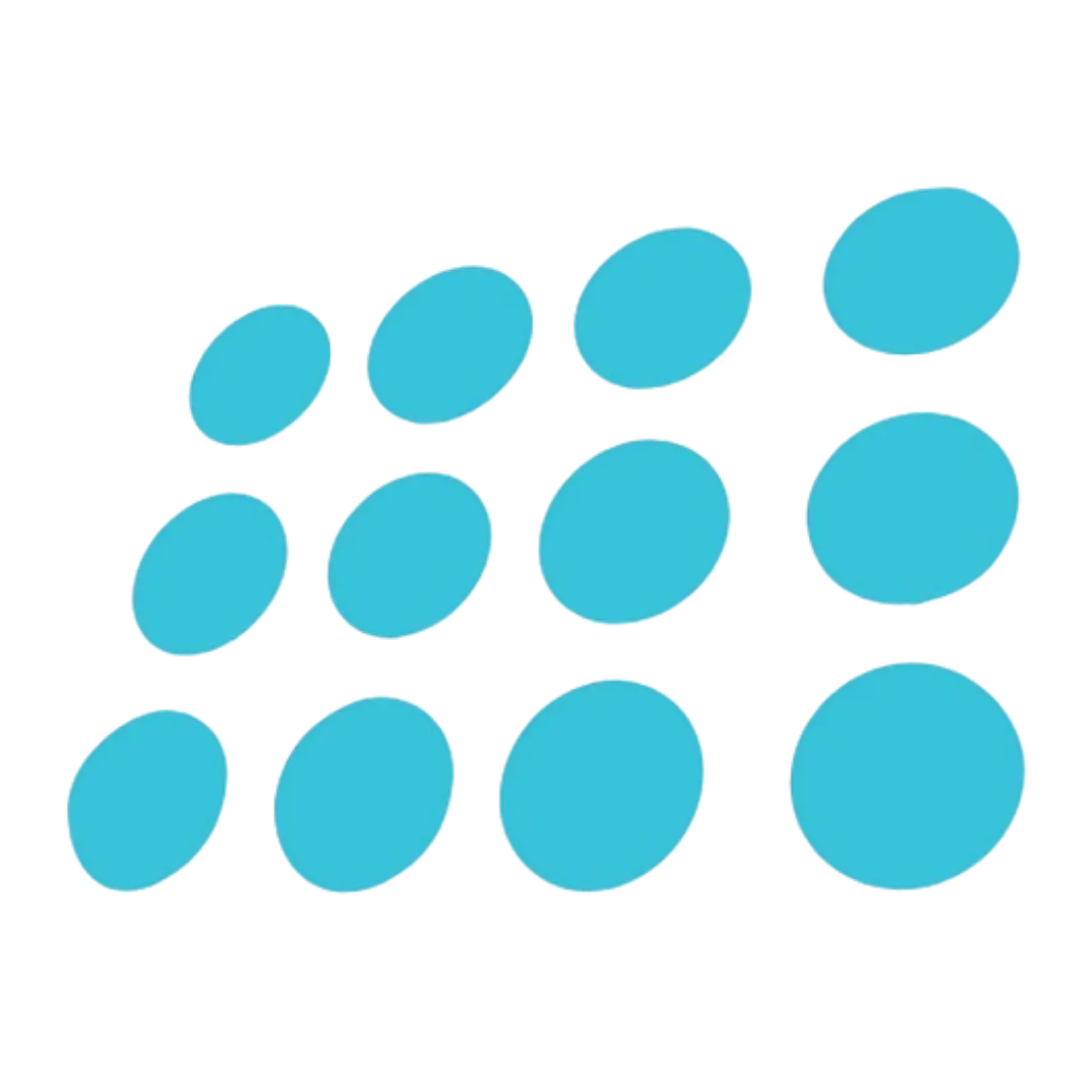 nopCommerce favicon